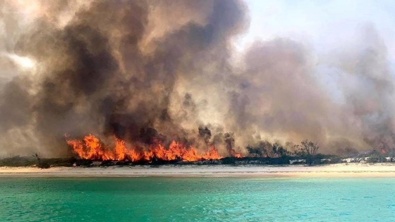 Πυρκαγιά κατακαίει την Νήσο Φρέϊζερ – Εντολή εκκένωσης της περιοχής