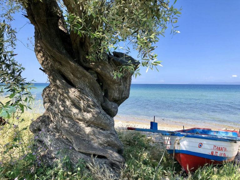 “Μια Κυρία (Παναγία) μας έβγαλε από το νερό, μας έσωσε από πνιγμό…”