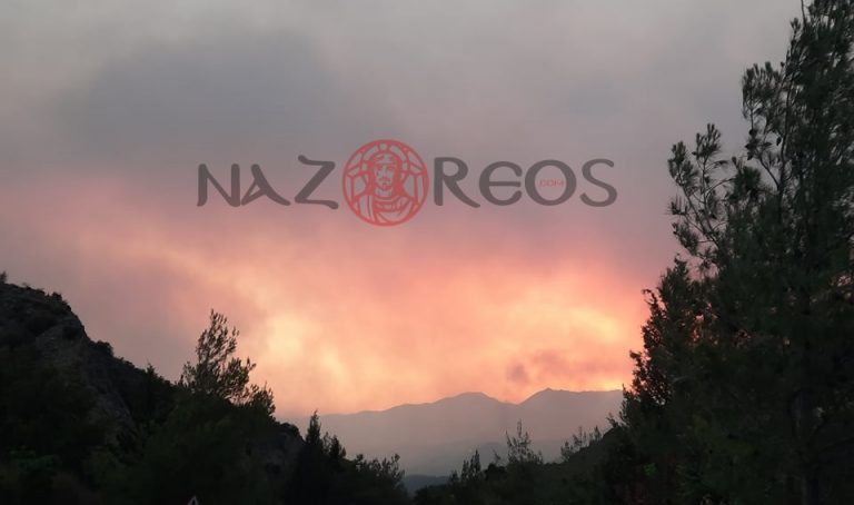 Μάχη με το χρόνο για τη φωτιά στην Κύπρο/Βοήθεια από Ελλάδα και Ισραήλ (ΒΙΝΤΕΟ)