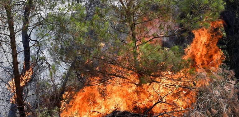 Η φωτιά κοντά στο διυλιστήριο/Κτυπούν οι καμπάνες για εκκένωση! (ΒΙΝΤΕΟ)