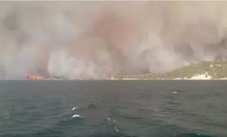 Τρέχουν στην θάλασσα για να σωθούν/Τραγικές στιγμές στην Εύβοια (ΒΙΝΤΕΟ)
